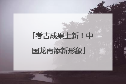 考古成果上新！中国龙再添新形象