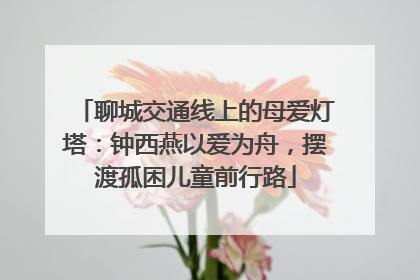 聊城交通线上的母爱灯塔：钟西燕以爱为舟，摆渡孤困儿童前行路