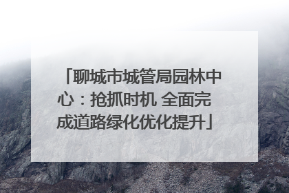 聊城市城管局园林中心：抢抓时机 全面完成道路绿化优化提升