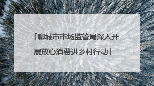 聊城市市场监管局深入开展放心消费进乡村行动