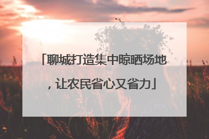 聊城打造集中晾晒场地，让农民省心又省力