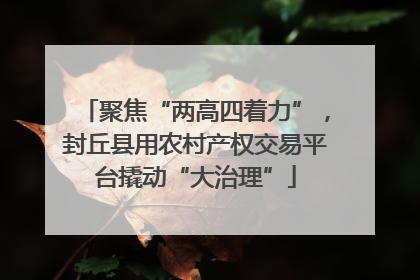 聚焦“两高四着力”，封丘县用农村产权交易平台撬动“大治理”