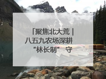 聚焦北大荒｜八五九农场深耕“林长制” 守护“生态绿”