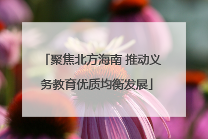 聚焦北方海南 推动义务教育优质均衡发展