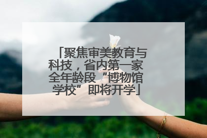 聚焦审美教育与科技，省内第一家全年龄段“博物馆学校”即将开学