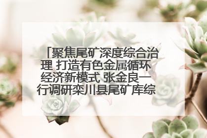聚焦尾矿深度综合治理 打造有色金属循环经济新模式 张金良一行调研栾川县尾矿库综合治理工作