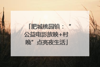 肥城桃园镇：“公益电影放映+村晚”点亮夜生活