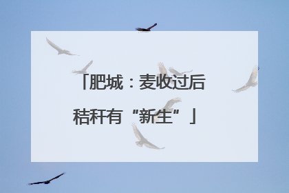 肥城：麦收过后秸秆有“新生”