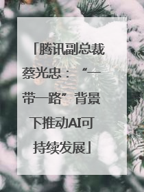 腾讯副总裁蔡光忠：“一带一路”背景下推动AI可持续发展