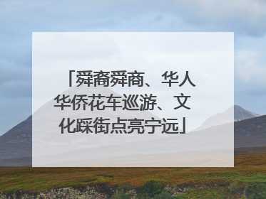 舜裔舜商、华人华侨花车巡游、文化踩街点亮宁远