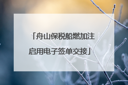 舟山保税船燃加注启用电子签单交接
