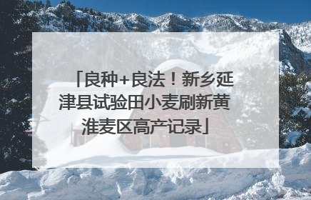 良种+良法！新乡延津县试验田小麦刷新黄淮麦区高产记录