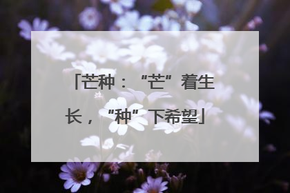 芒种：“芒”着生长，“种”下希望