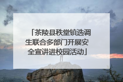 茶陵县秩堂镇选调生联合多部门开展安全宣讲进校园活动