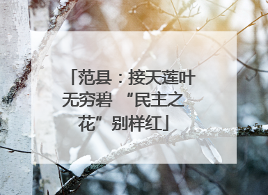 范县：接天莲叶无穷碧 “民主之花”别样红