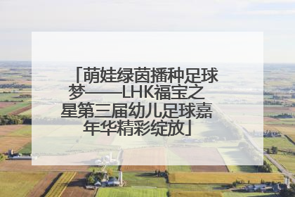 萌娃绿茵播种足球梦——LHK福宝之星第三届幼儿足球嘉年华精彩绽放