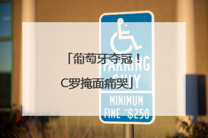 葡萄牙夺冠！C罗掩面痛哭