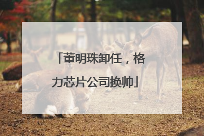董明珠卸任，格力芯片公司换帅