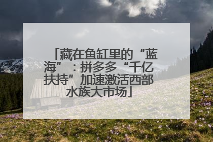 藏在鱼缸里的“蓝海”：拼多多“千亿扶持”加速激活西部水族大市场