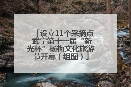 设立11个采摘点 武宁第十一届“新光杯”杨梅文化旅游节开幕（组图）