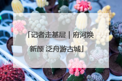 记者走基层｜府河焕新颜 泛舟游古城