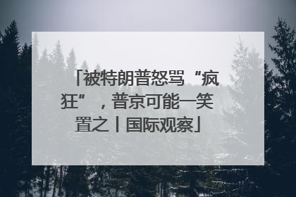 被特朗普怒骂“疯狂”，普京可能一笑置之丨国际观察