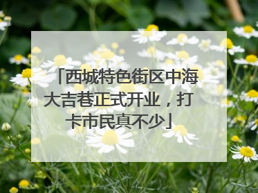 西城特色街区中海大吉巷正式开业，打卡市民真不少