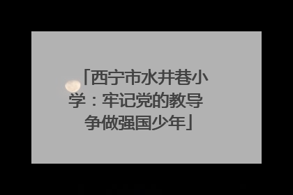 西宁市水井巷小学：牢记党的教导 争做强国少年