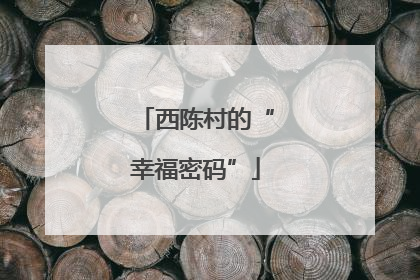 西陈村的“幸福密码”