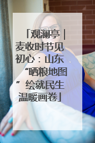观澜亭｜麦收时节见初心：山东“晒粮地图”绘就民生温暖画卷