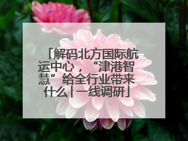 解码北方国际航运中心，“津港智慧”给全行业带来什么│一线调研