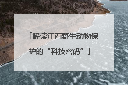 解读江西野生动物保护的“科技密码”