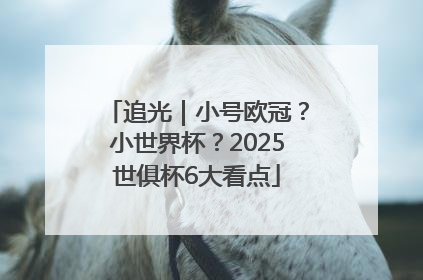 追光｜小号欧冠？小世界杯？2025世俱杯6大看点