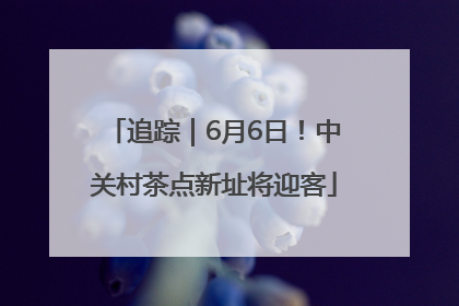 追踪｜6月6日！中关村茶点新址将迎客