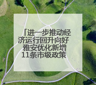 进一步推动经济运行回升向好 雅安优化新增11条市级政策举措