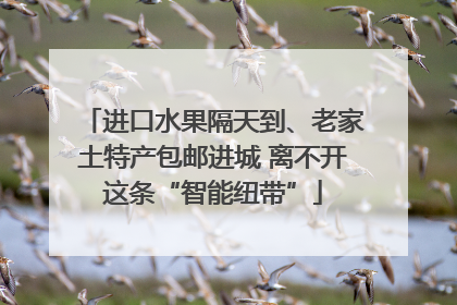 进口水果隔天到、老家土特产包邮进城 离不开这条“智能纽带”