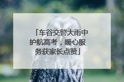 车谷交警大雨中护航高考，暖心服务获家长点赞