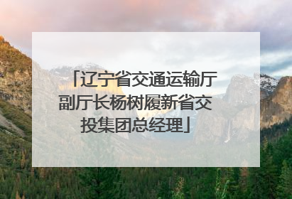 辽宁省交通运输厅副厅长杨树履新省交投集团总经理