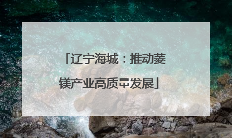 辽宁海城：推动菱镁产业高质量发展