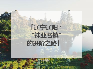 辽宁辽阳：“袜业名镇”的进阶之路