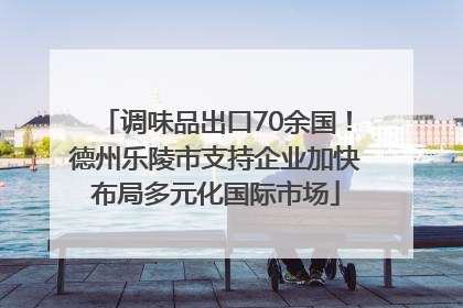 调味品出口70余国！德州乐陵市支持企业加快布局多元化国际市场