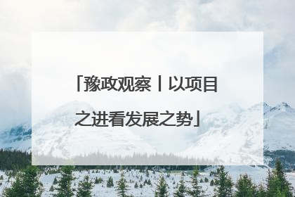 豫政观察丨以项目之进看发展之势