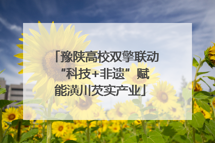 豫陕高校双擎联动 “科技+非遗”赋能潢川芡实产业