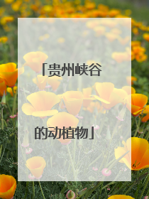 贵州峡谷的动植物
