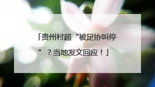贵州村超“被足协叫停”？当地发文回应！
