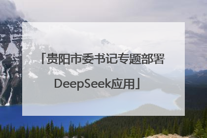 贵阳市委书记专题部署DeepSeek应用
