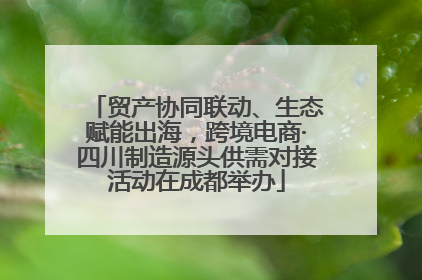 贸产协同联动、生态赋能出海，跨境电商·四川制造源头供需对接活动在成都举办