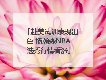 赴美试训表现出色 杨瀚森NBA选秀行情看涨
