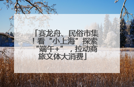 赛龙舟、民俗市集！看“小上海”探索“端午+”，拉动商旅文体大消费