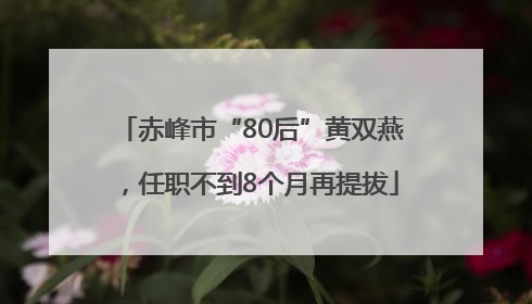 赤峰市“80后”黄双燕，任职不到8个月再提拔